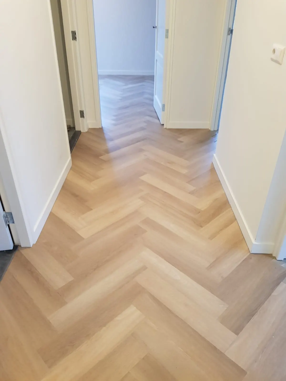 Visgraat door hal en kamers